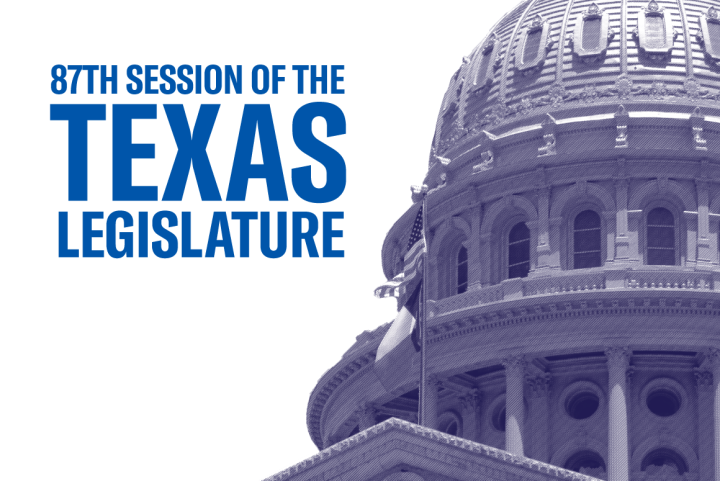 2021 Legislative Session Austin Capitol Image