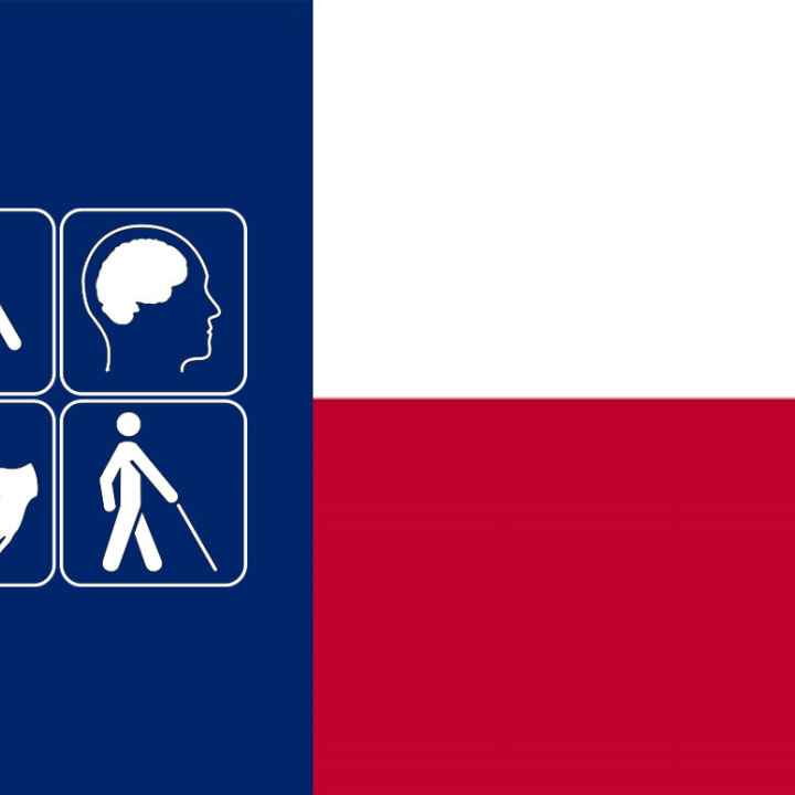 Disability pride month + Texas state flag
