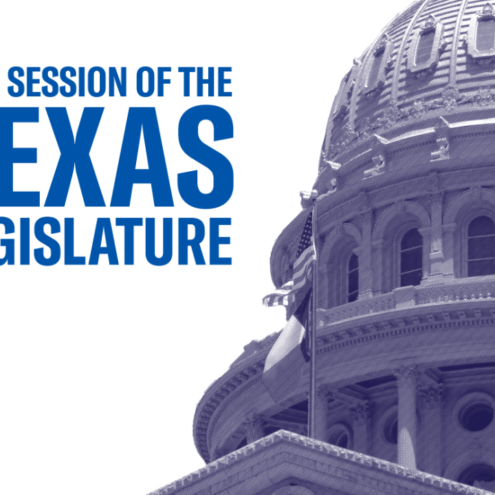 2021 Legislative Session Austin Capitol Image
