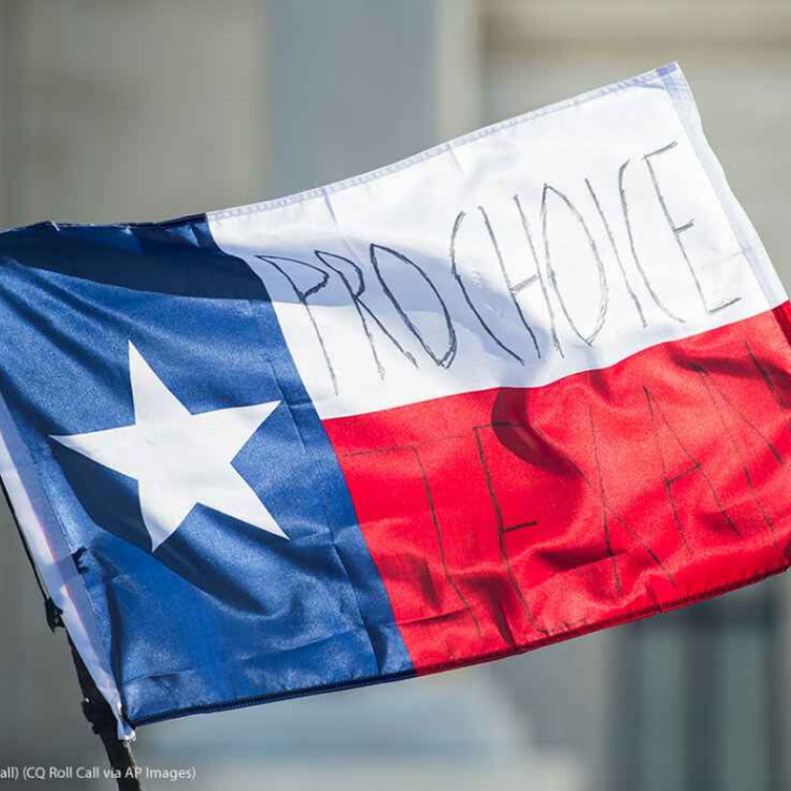 Texas state flag with the words "Pro Choice Texan" written on the horizontal elements